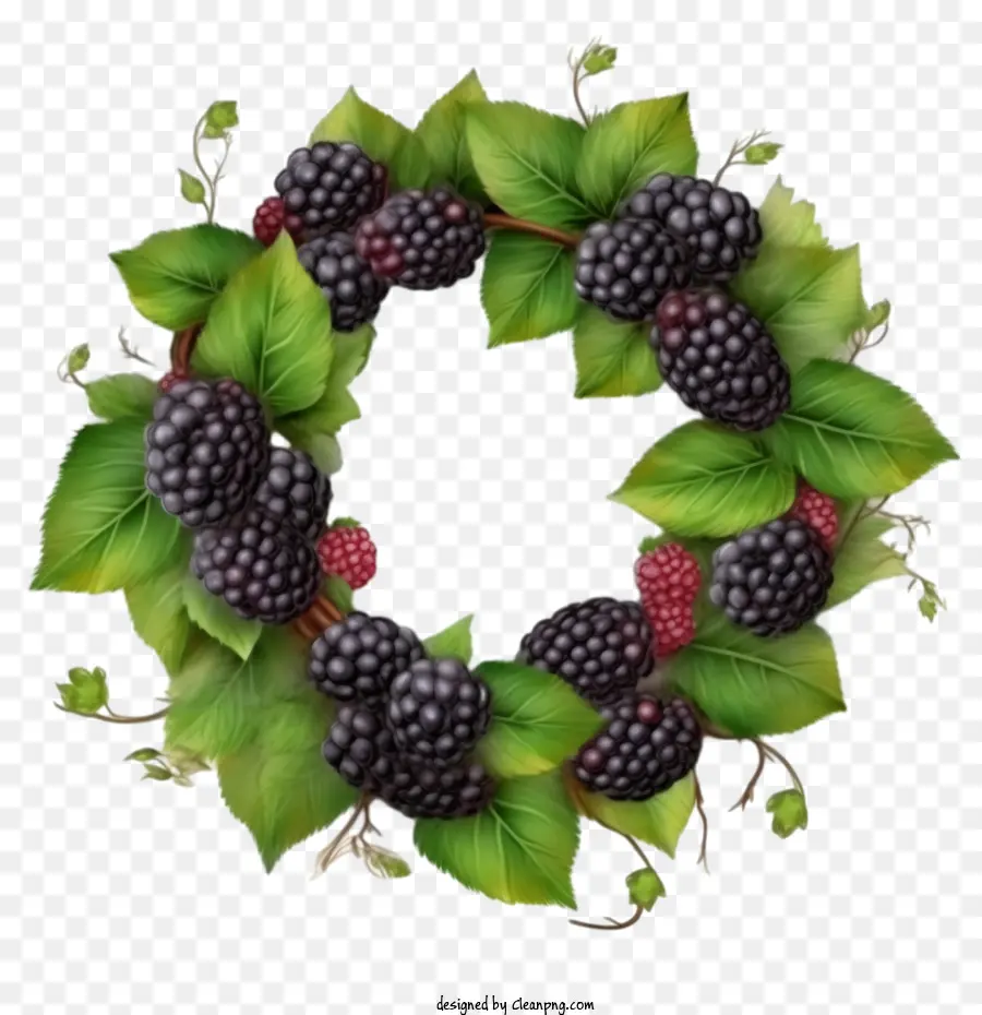 Blackberry，Corona De Moras PNG