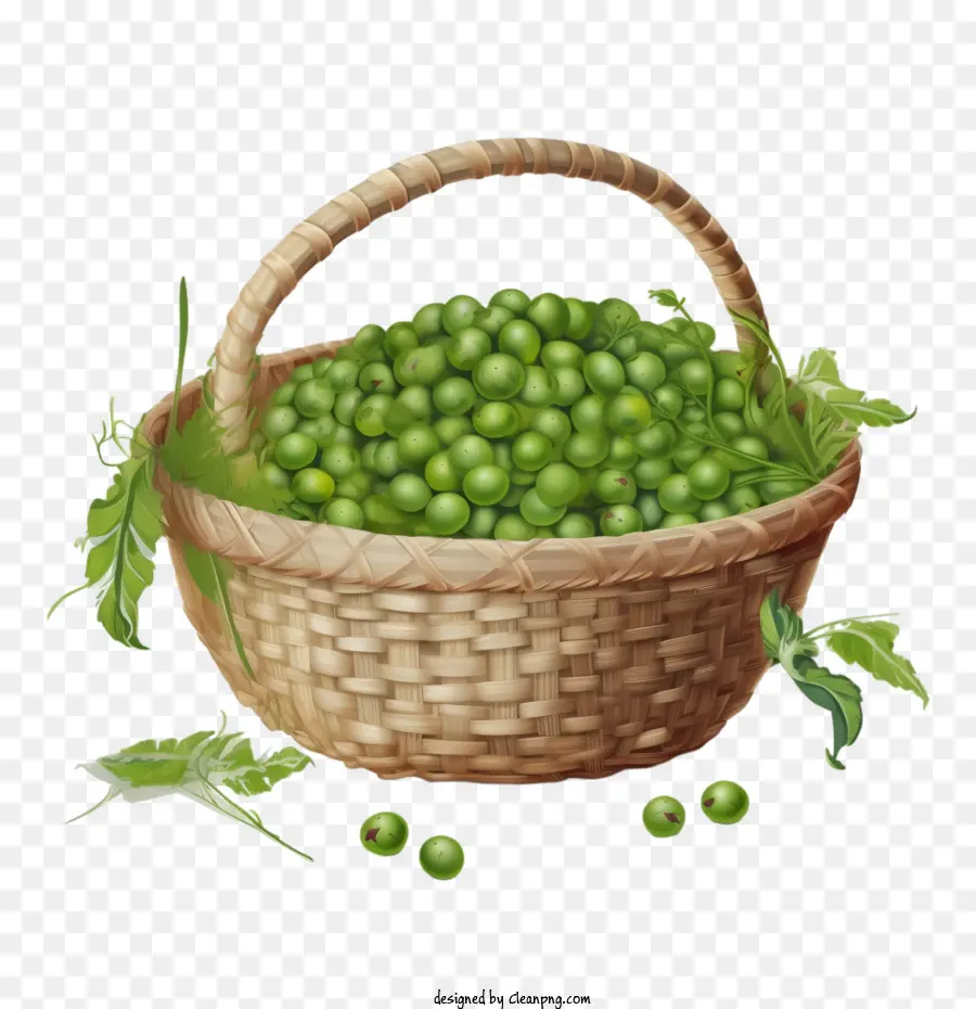 Guisantes Verdes，Peas PNG