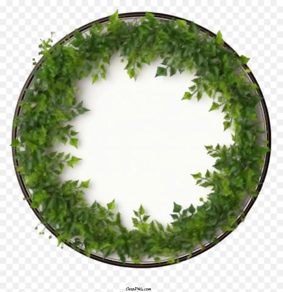 Marco De Enredadera Verde，Planta De Marco PNG