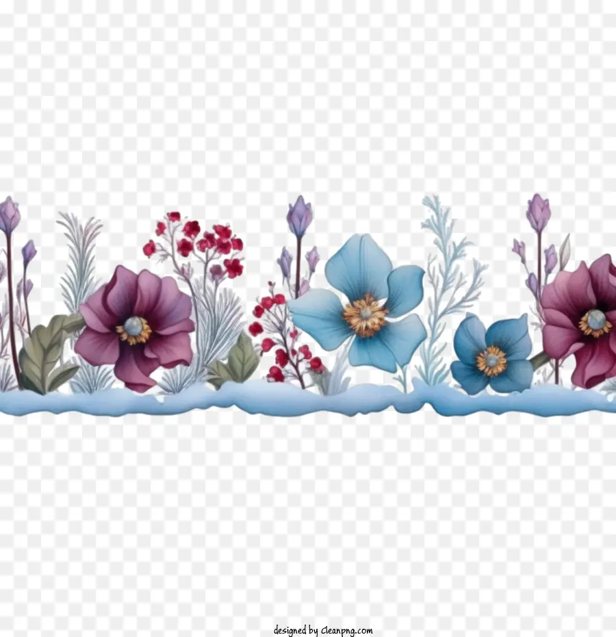 Flor De Invierno，Flor De La Frontera PNG