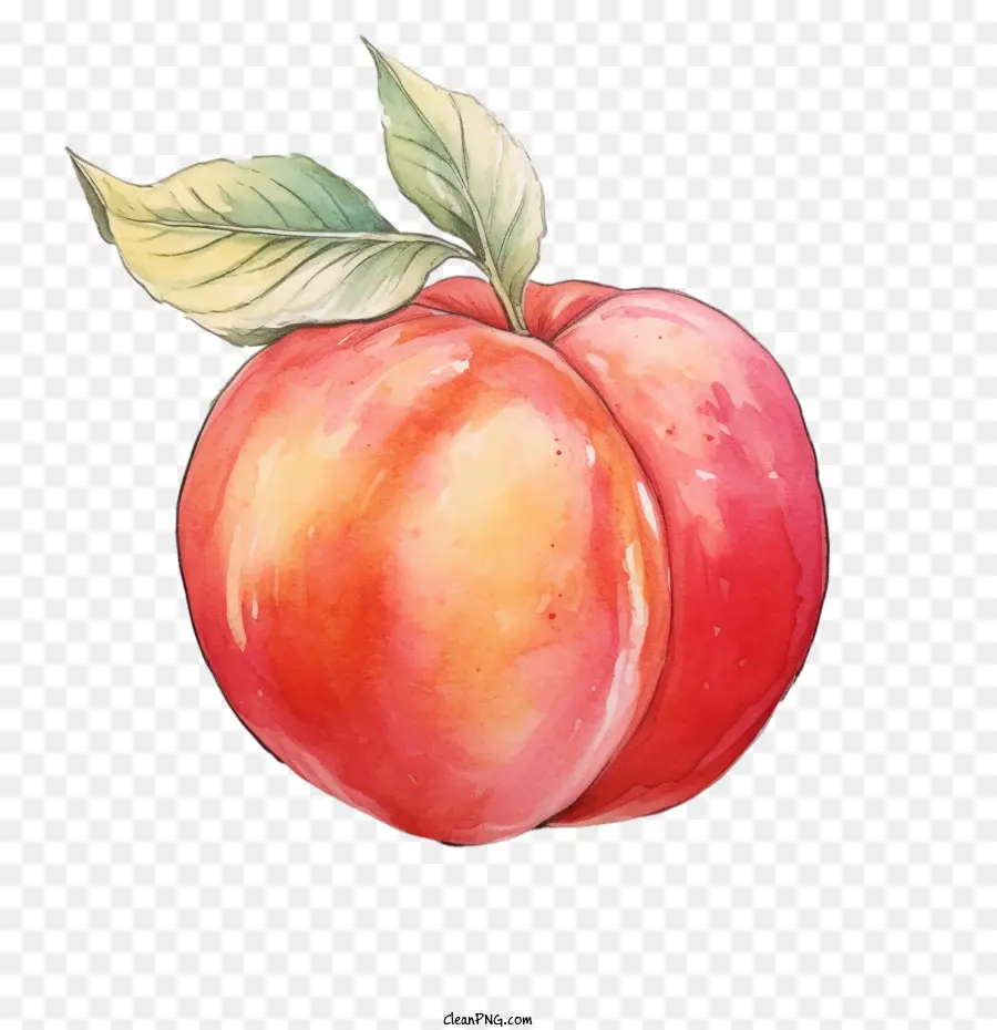 Durazno，Manzana Acuarela PNG