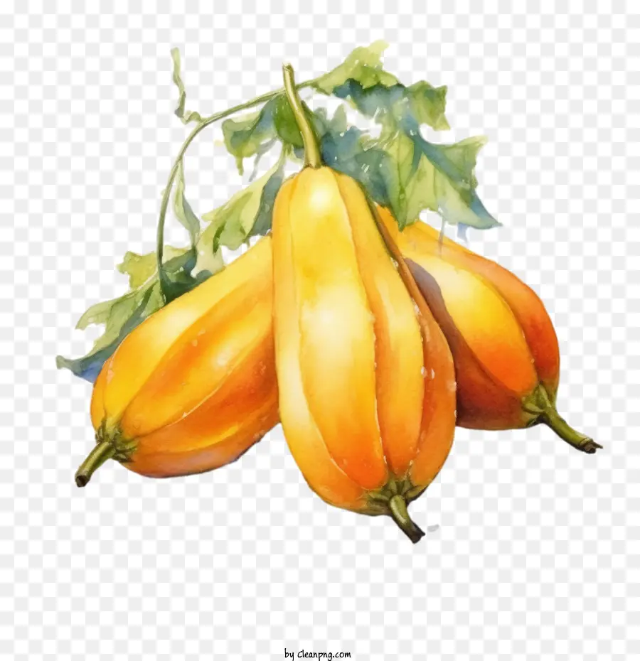 La Papaya，Fruta De La Papaya PNG