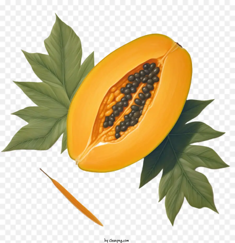 La Papaya，Fruta De La Papaya PNG