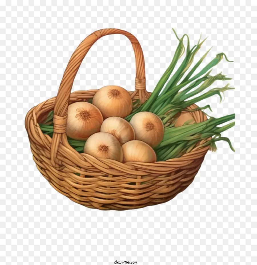 Cebolla，Patatas PNG