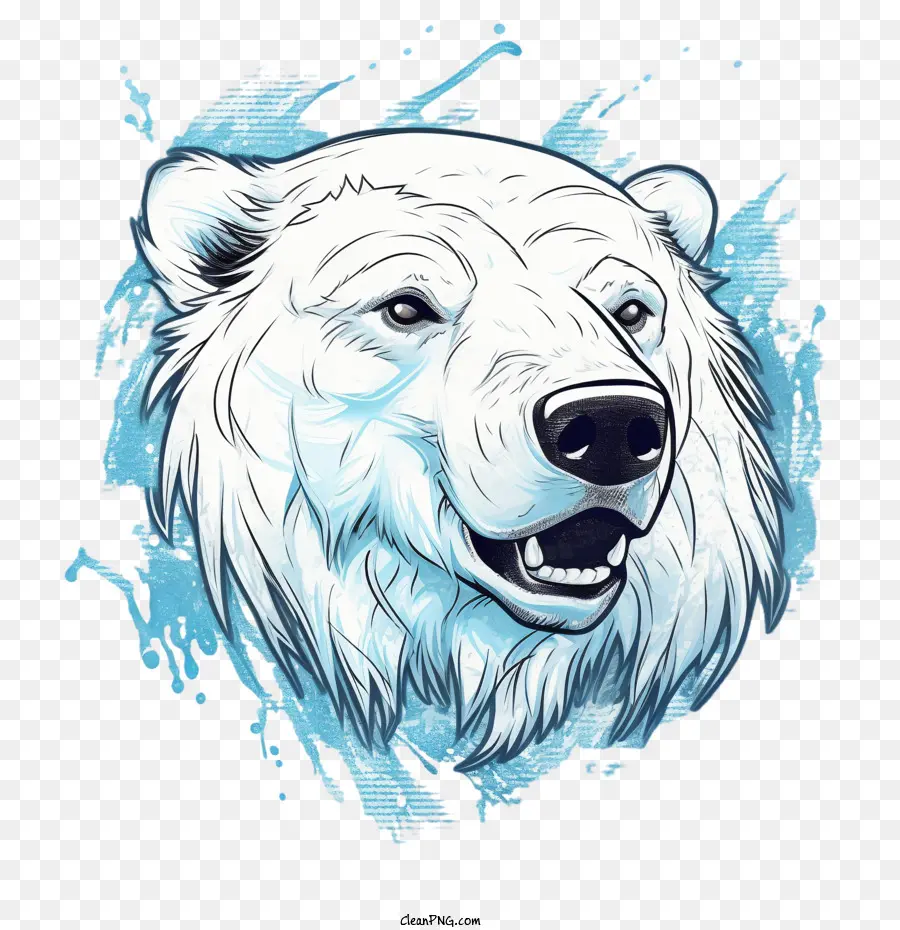 Oso Polar，Blanco PNG