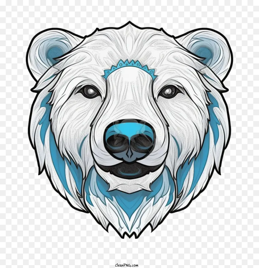 Oso Polar，Blanco PNG