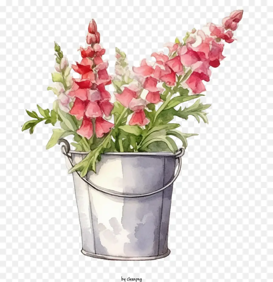 Snapdragon Flor，Flores De Color Rosa PNG