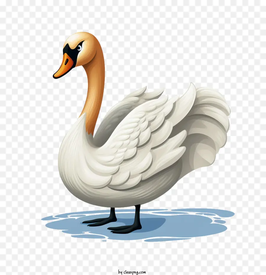 Swan，Aves PNG