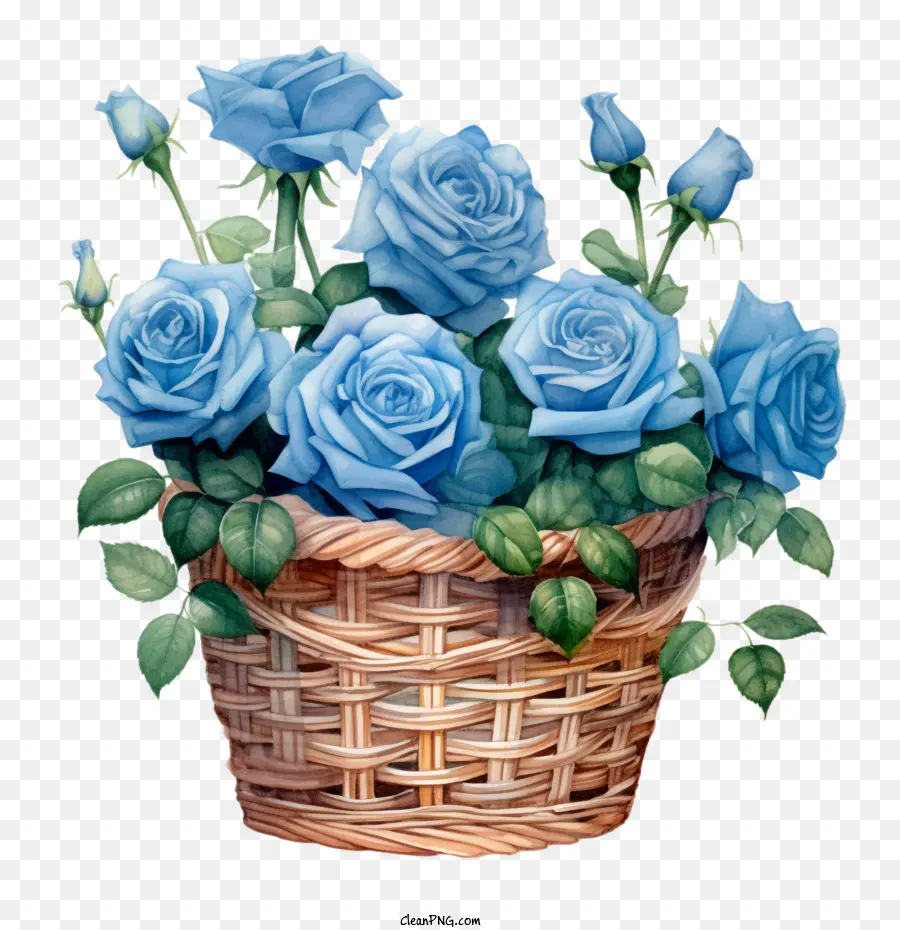 Rosa Azul，Las Rosas PNG