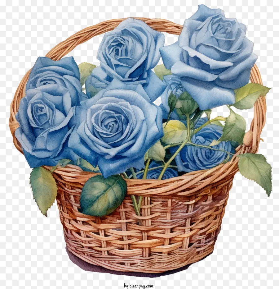 Rosa Azul，Rosas Azules PNG