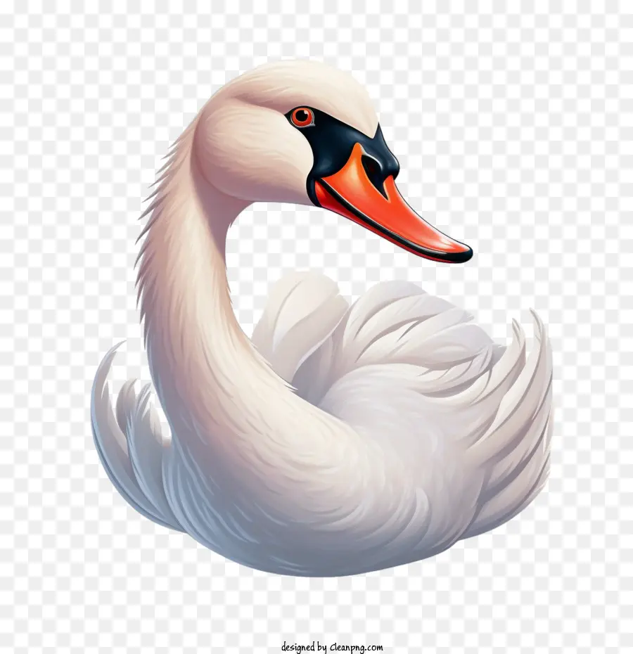 Cisne，Pájaro PNG