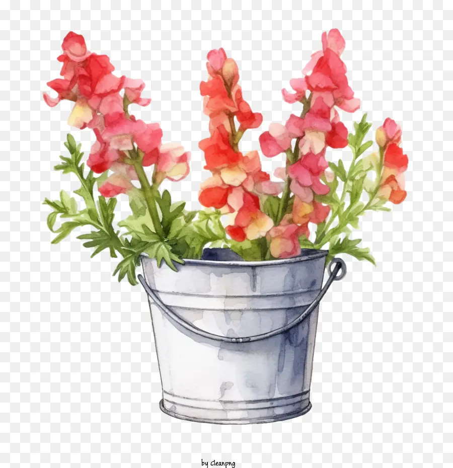 Snapdragon Flor，Flores De Color Rosa PNG