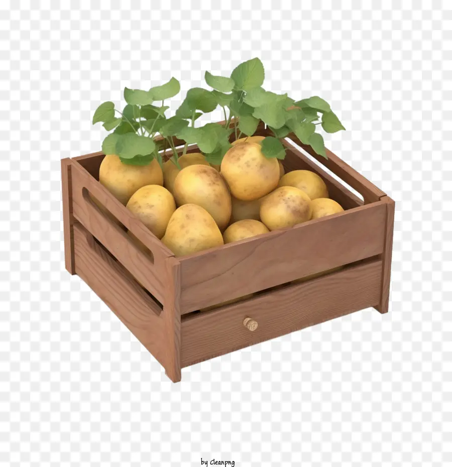 Patata，Patatas PNG