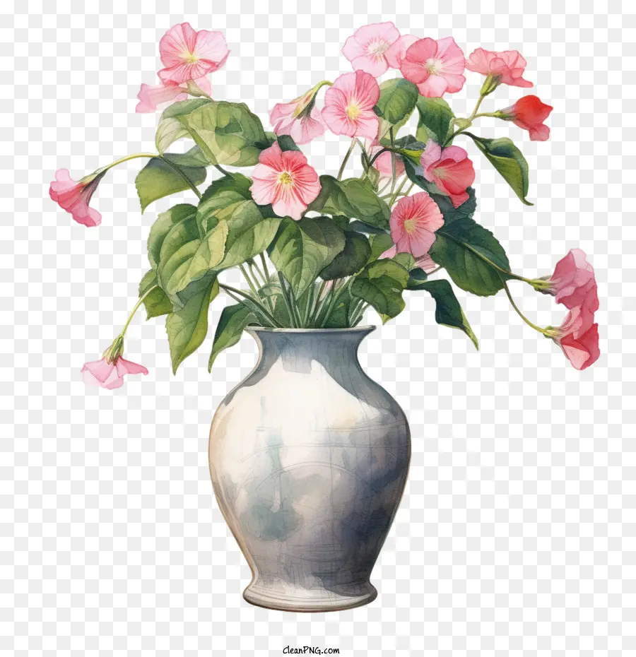 Flor Impatiens，Ramo PNG