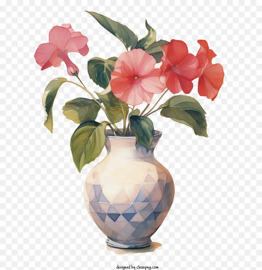 Flor Impatiens，Rosa PNG