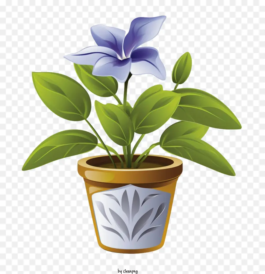 Vinca Flor，Planta En Maceta PNG
