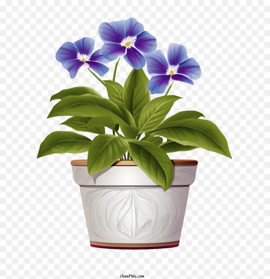 Vinca Flor，Las Plantas En Maceta PNG