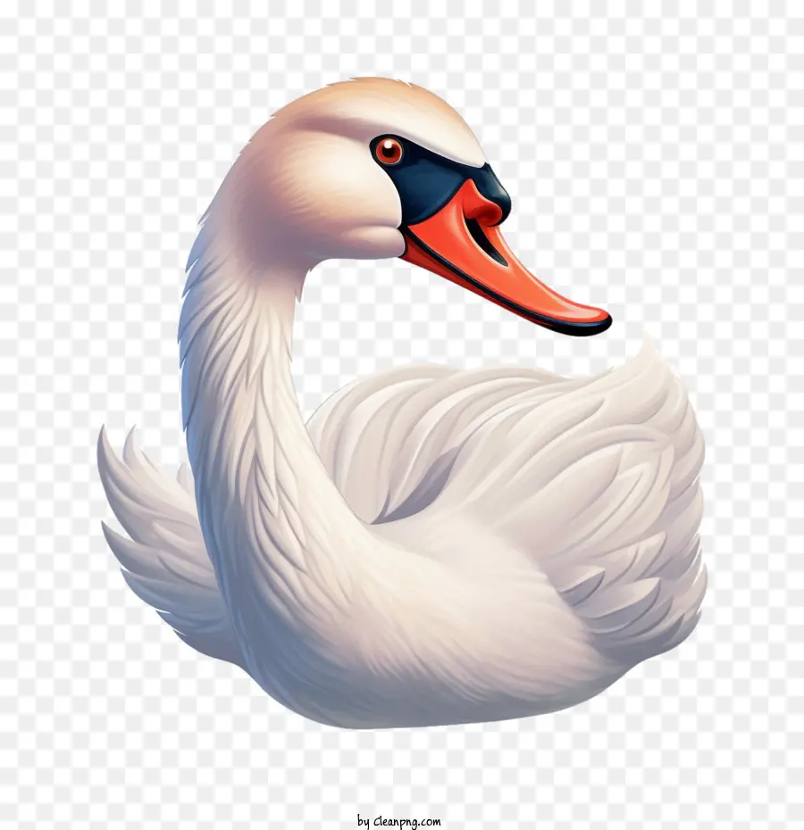 Swan，Blanco PNG