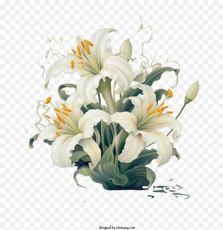 Flor De Lis，Lily PNG