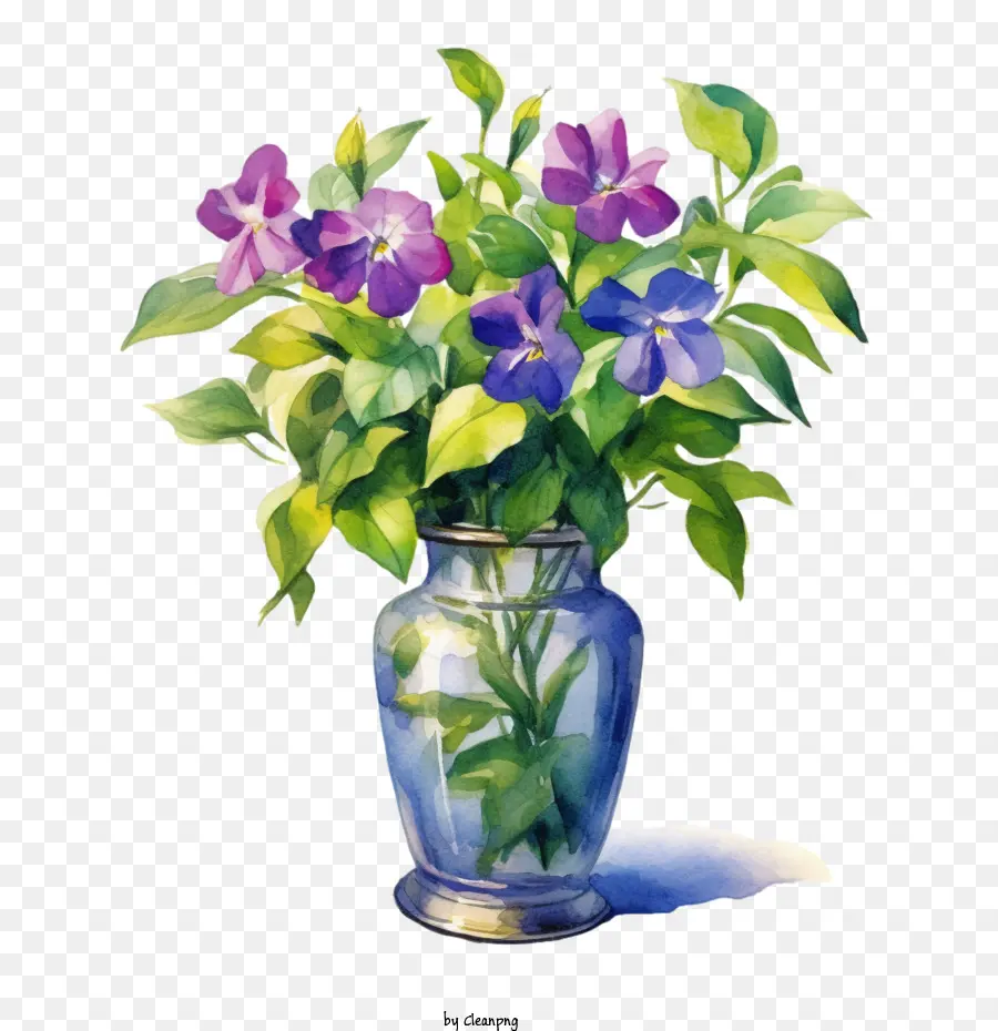 Vinca Flor，Ramo PNG