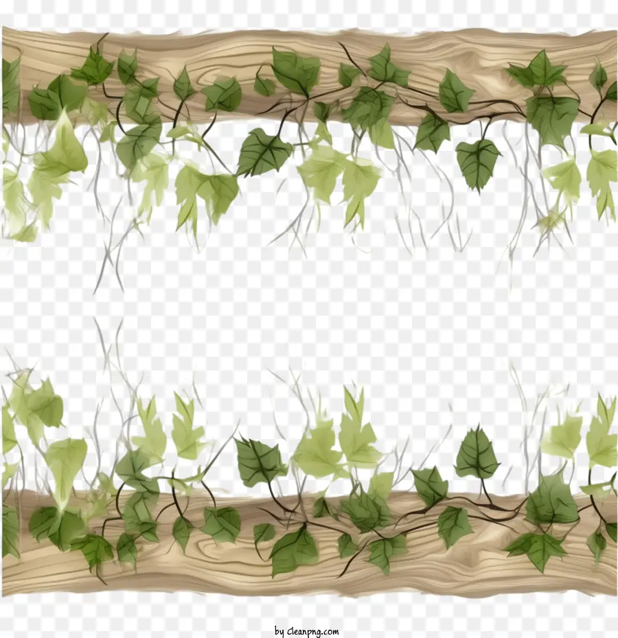 Liana Border Sin Costuras，La Planta De La Frontera PNG