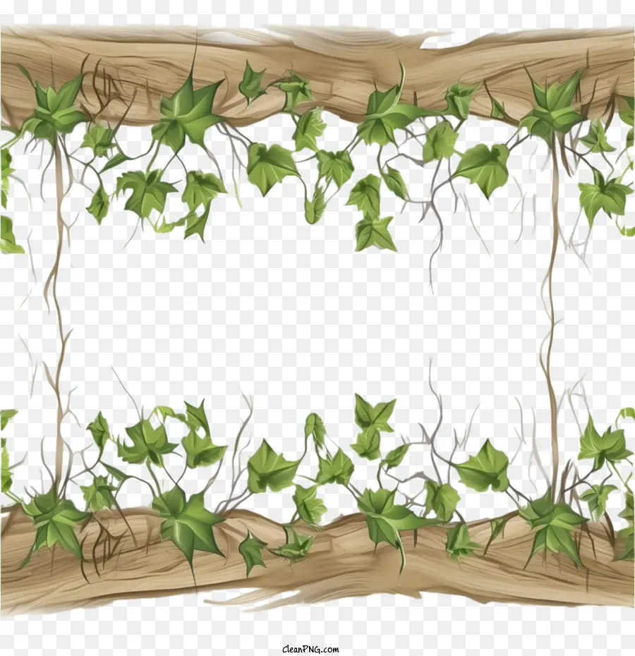 Liana Border Sin Costuras，La Planta De La Frontera PNG