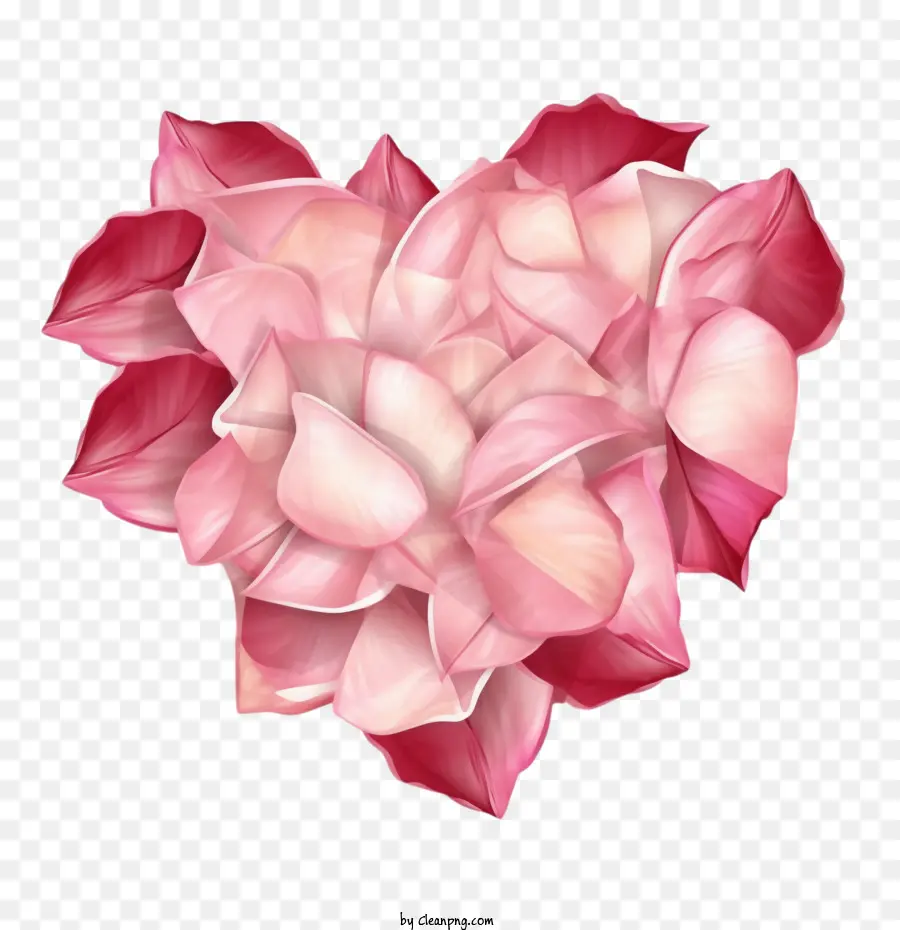 Corazón De Marco，Pétalos De Rosa PNG