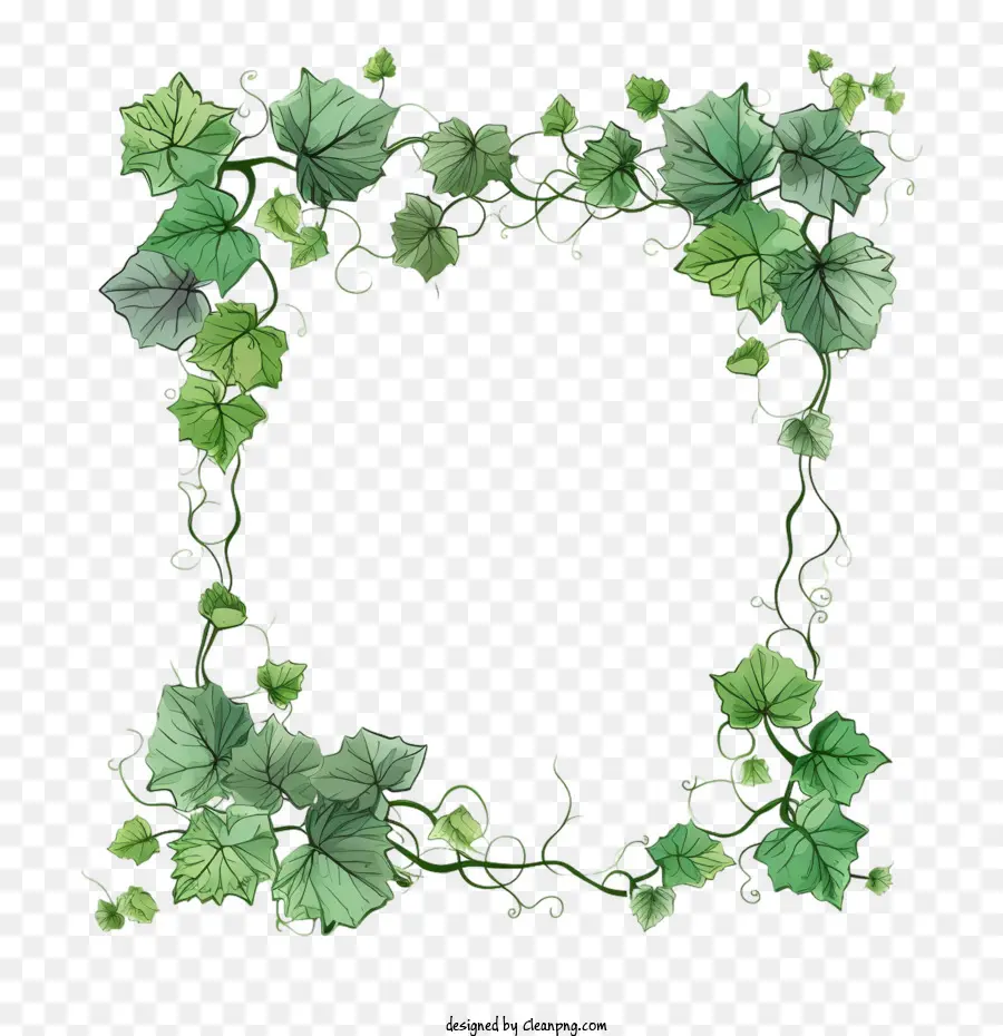 Ivy Marco，Planta De Marco PNG