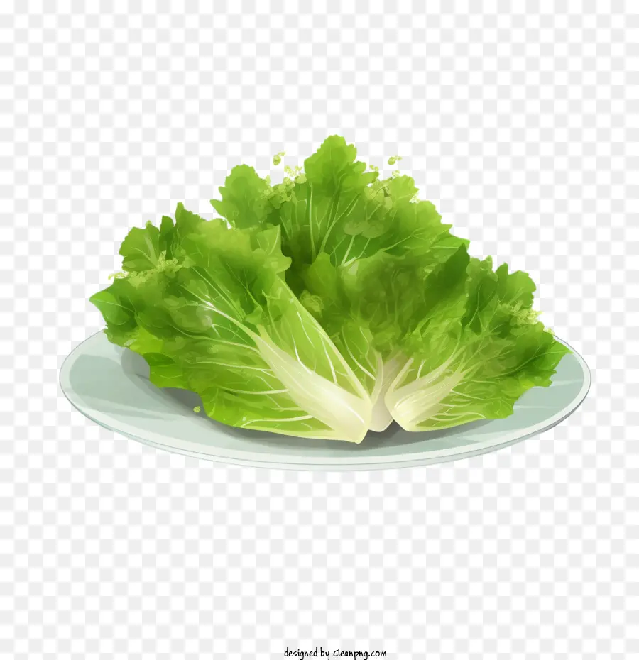 Repollo Chino，Lechuga PNG