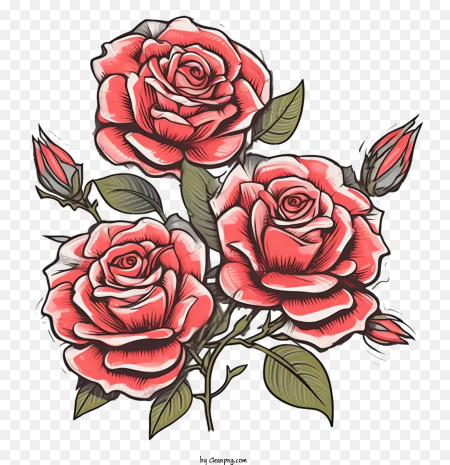 Rosa De Dibujos Animados，Rosa PNG