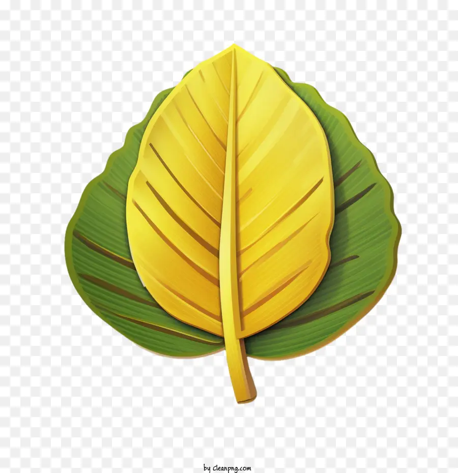 Hoja De Plátano，Amarillo PNG