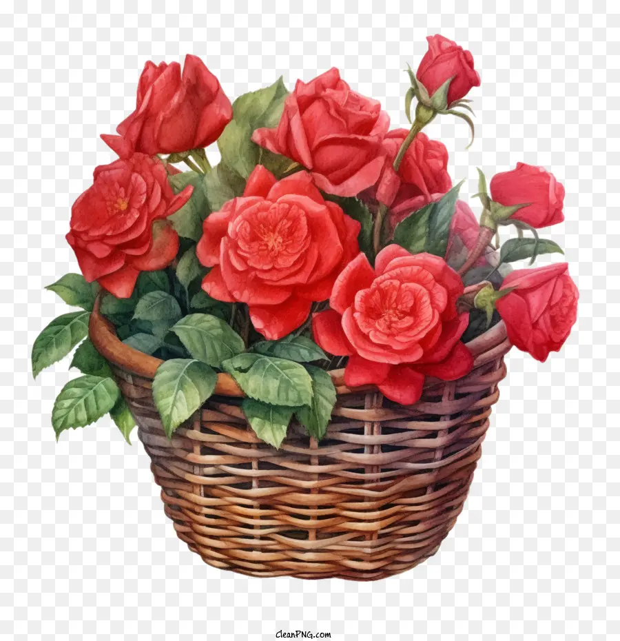 Rosa Roja，Cesta De Rosa PNG