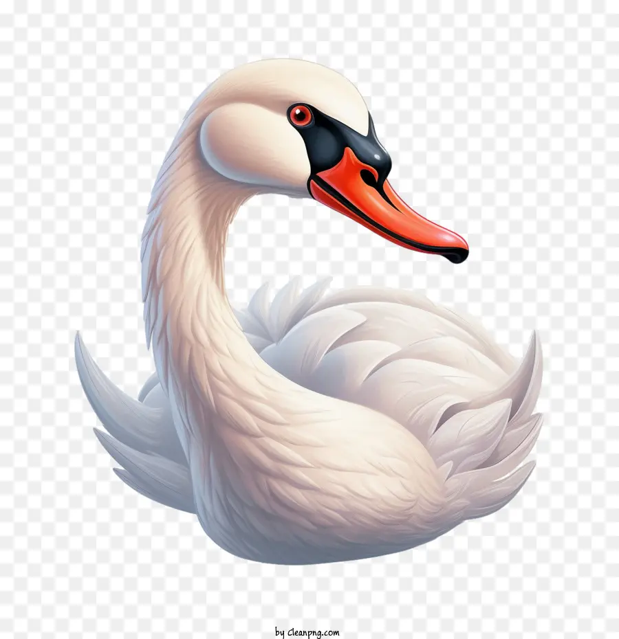 Swan，Blanco PNG