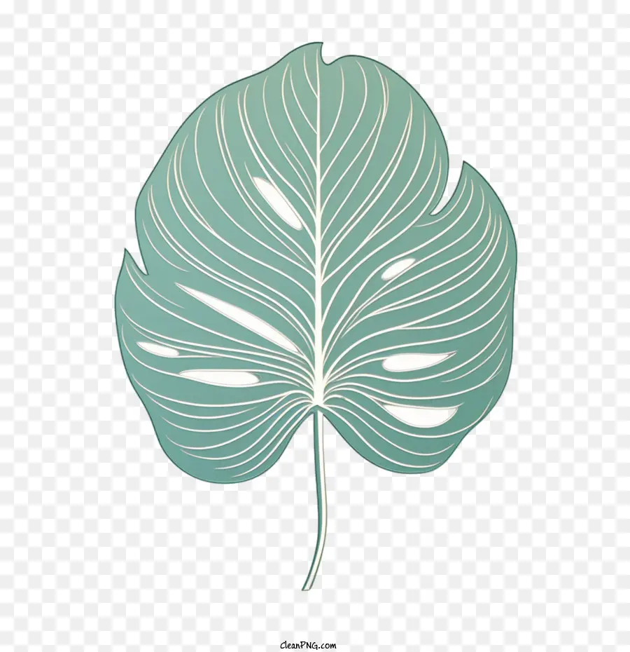 Monstera De La Hoja，Palmera PNG