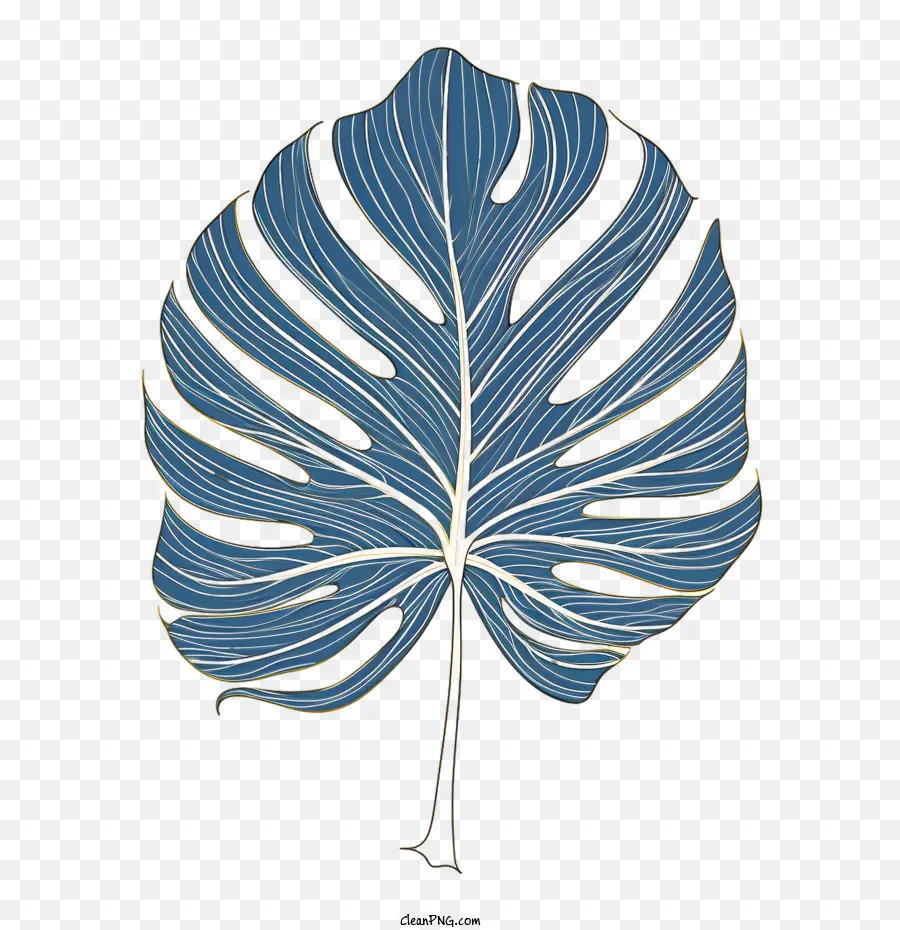 Monstera De La Hoja，Hojas PNG