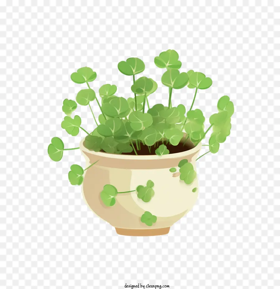 Planta De Pilea，Bote PNG