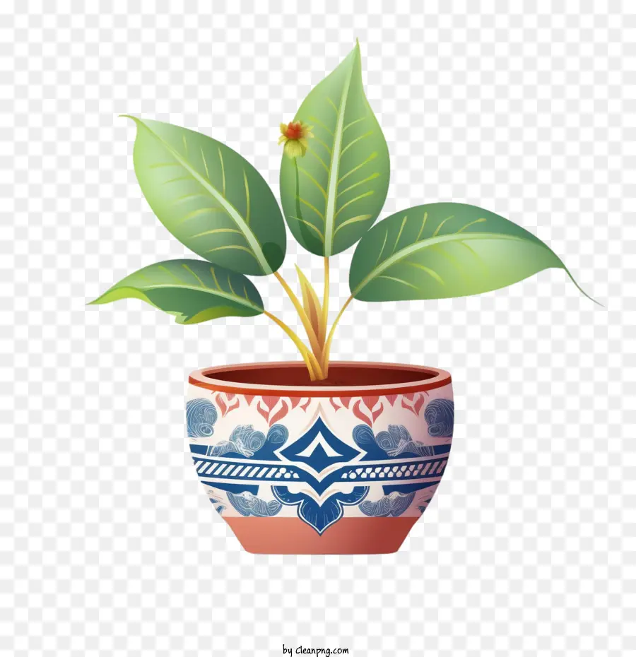 Planta，Planta En Maceta PNG