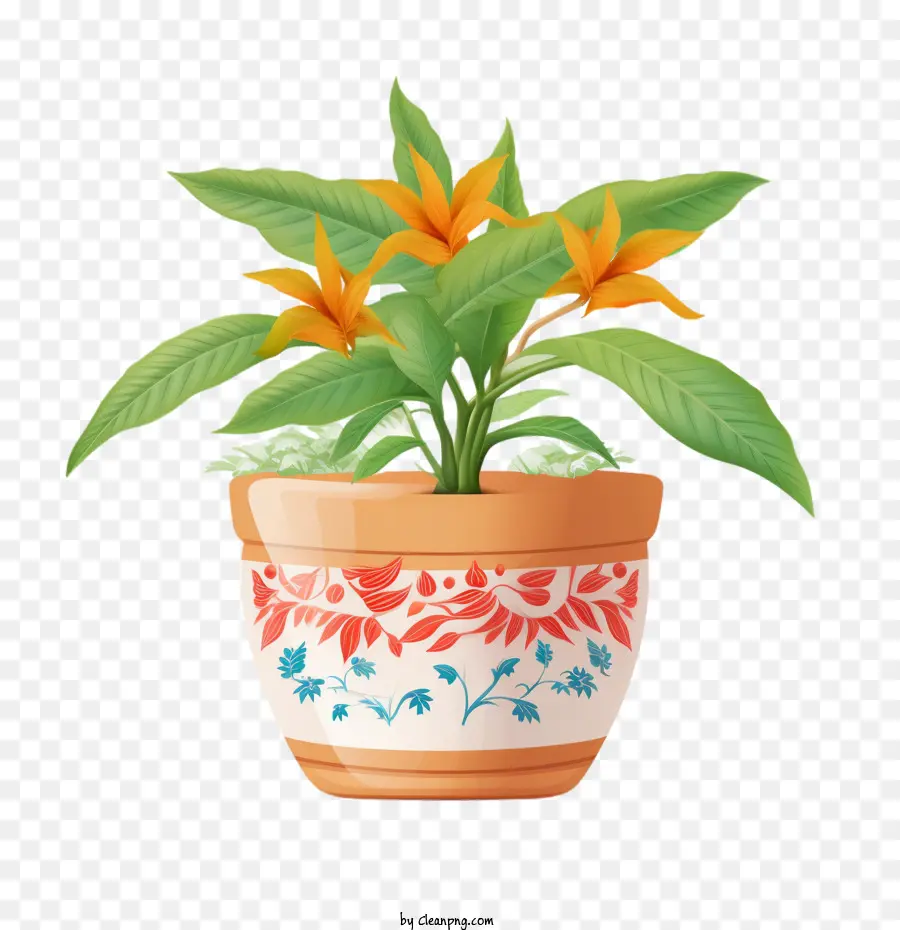 Planta，Bote PNG