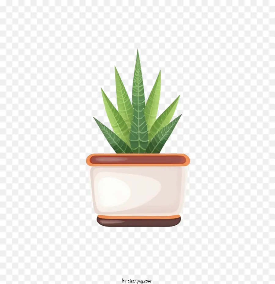 Planta De Aloe，Planta Verde PNG