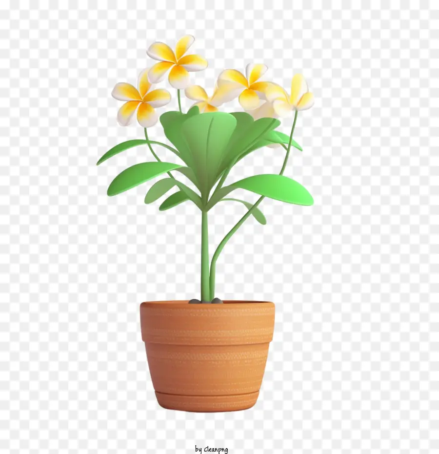 Plumeria，Maceta De Flores PNG