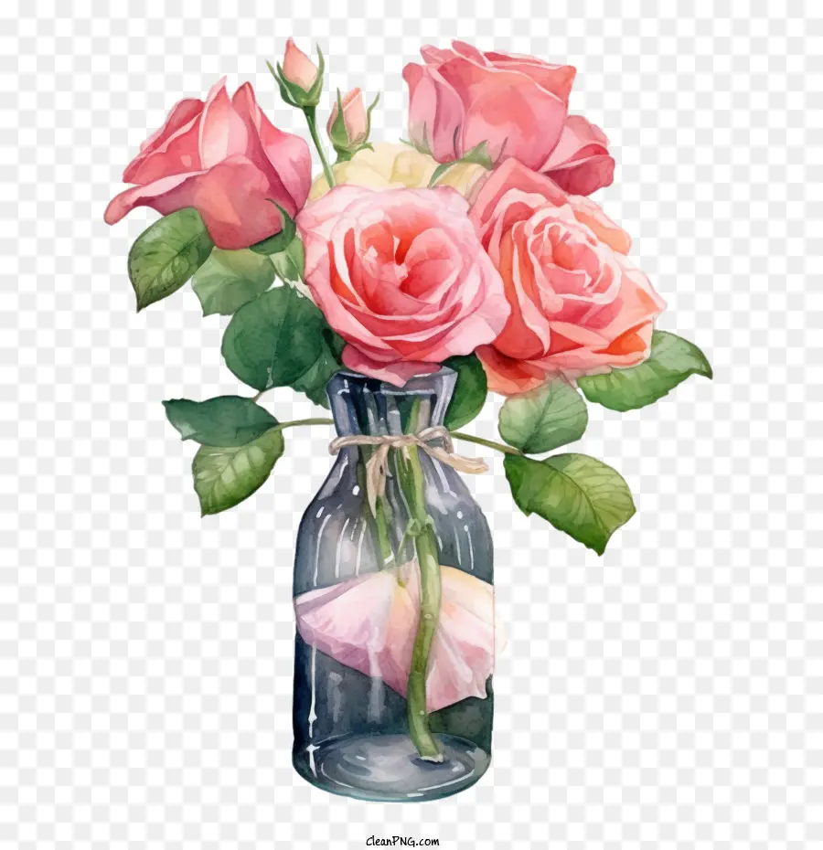 Rosa Rosa，Las Rosas PNG