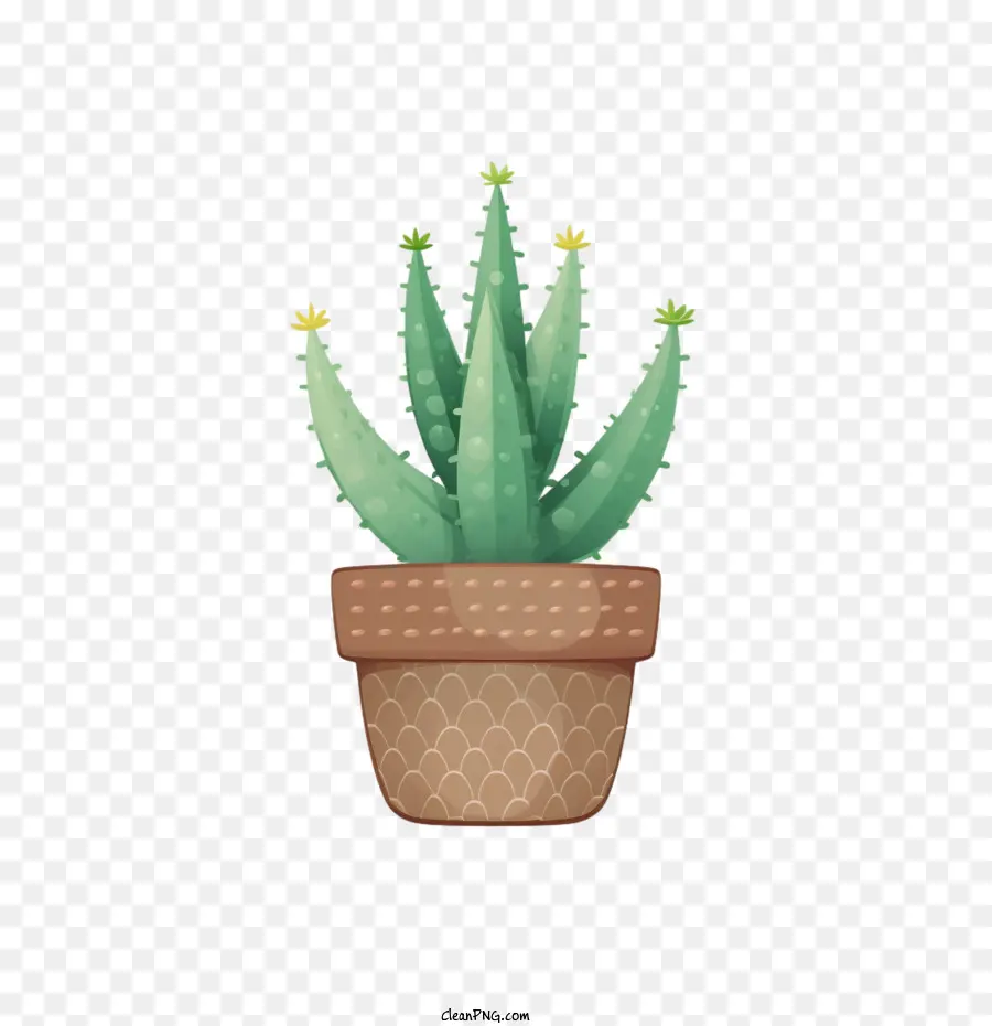 Planta De Aloe，Plantar En Una Maceta PNG