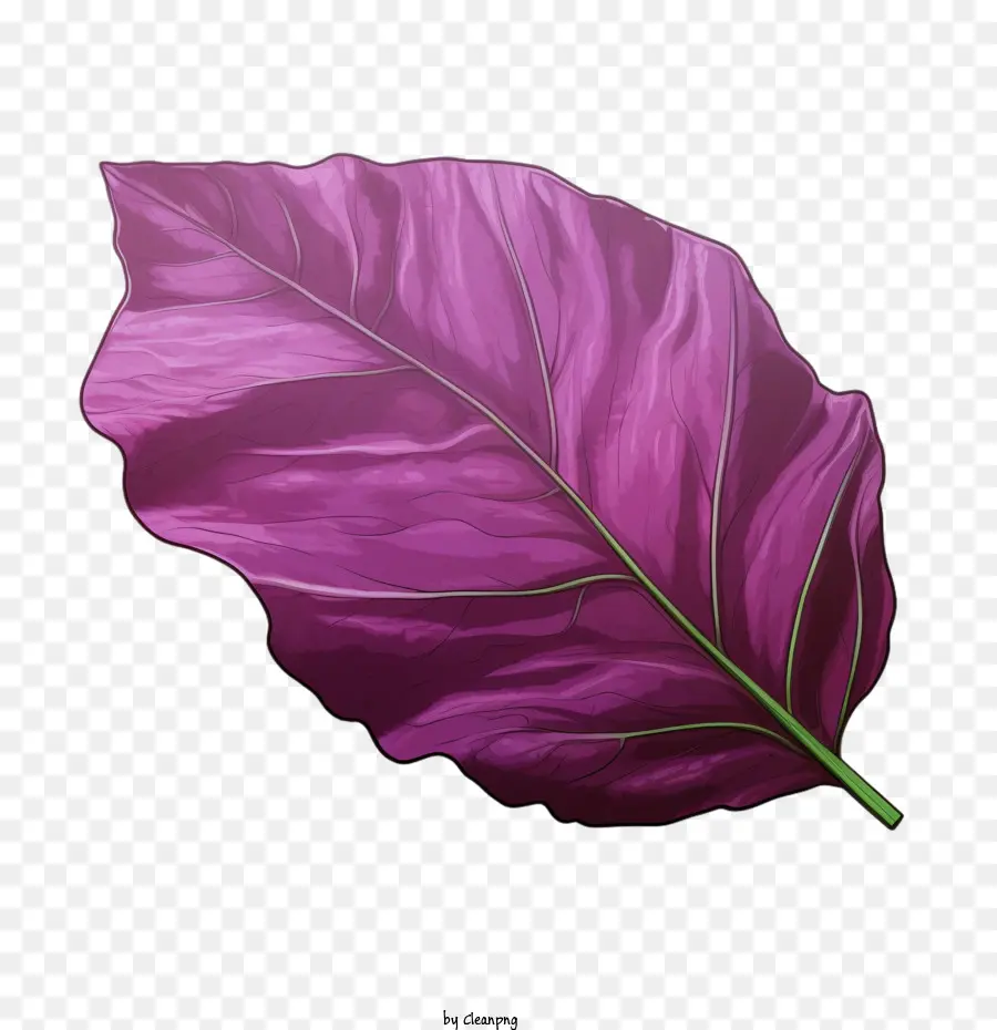 Hoja Morada，Naturaleza PNG