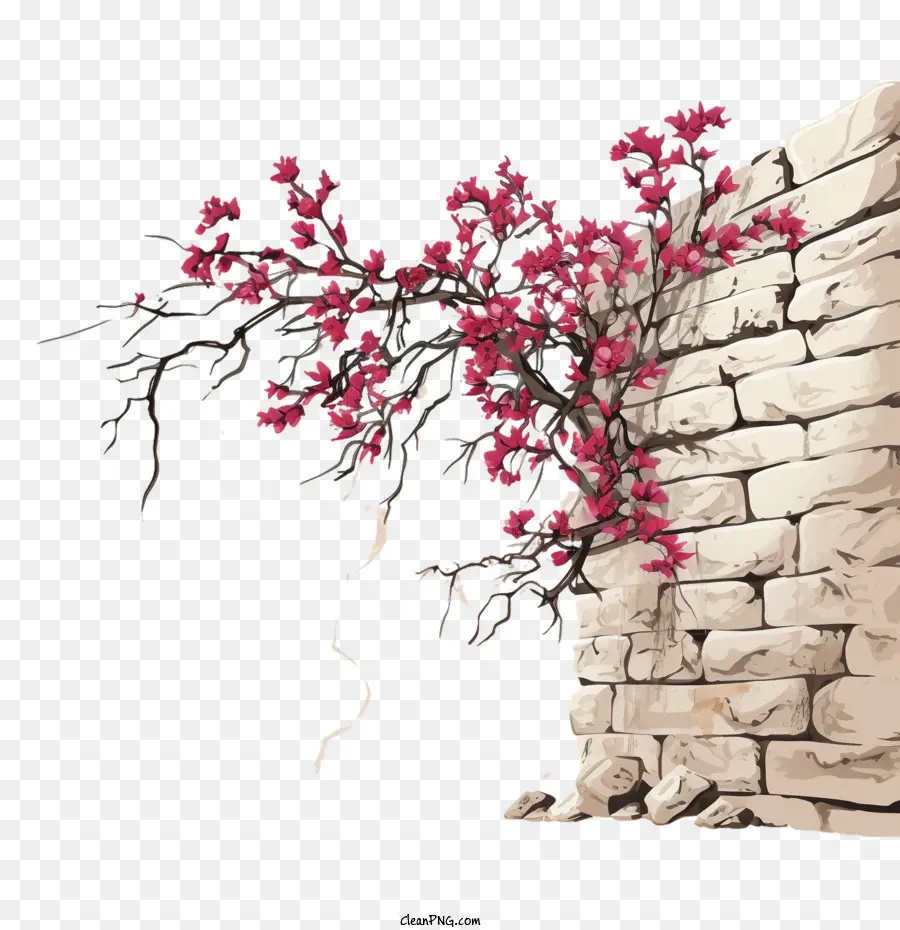 Flores De Pared Que Lloran，Rama PNG