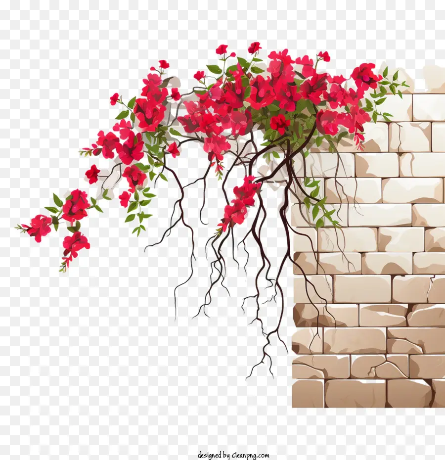 Flores De Pared Que Lloran，Flores PNG