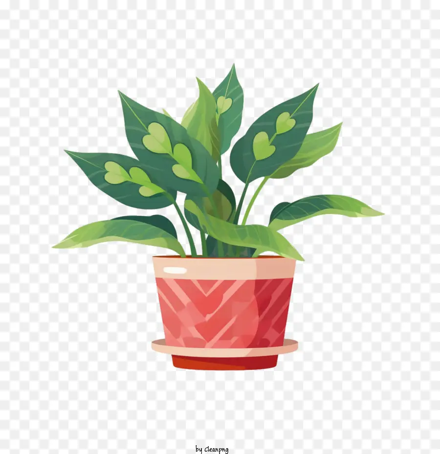 Planta En Maceta，Hojas PNG