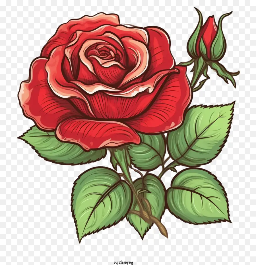 Vintage Rose，Rosa Roja PNG