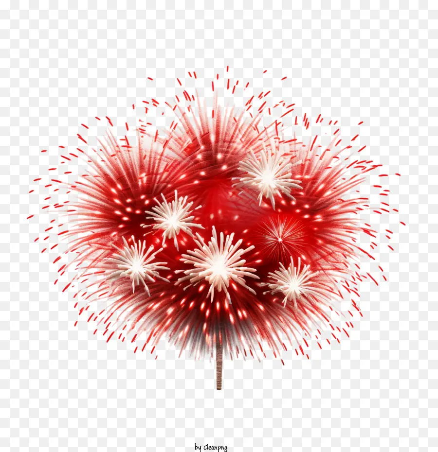 El Día De Canadá，Fuegos Artificiales PNG