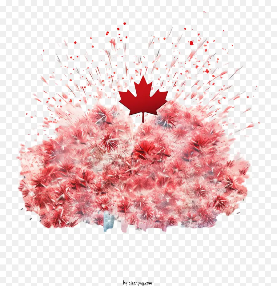 Dia De Canada，Fuegos Artificiales PNG