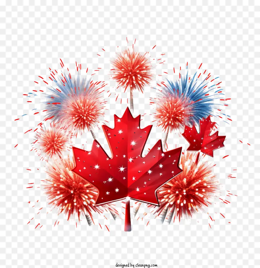 El Día De Canadá，Fuegos Artificiales PNG